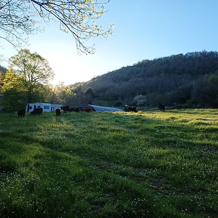 Ferme Les Therondels Saint-Pons-de-Thomieres Eksteriør billede