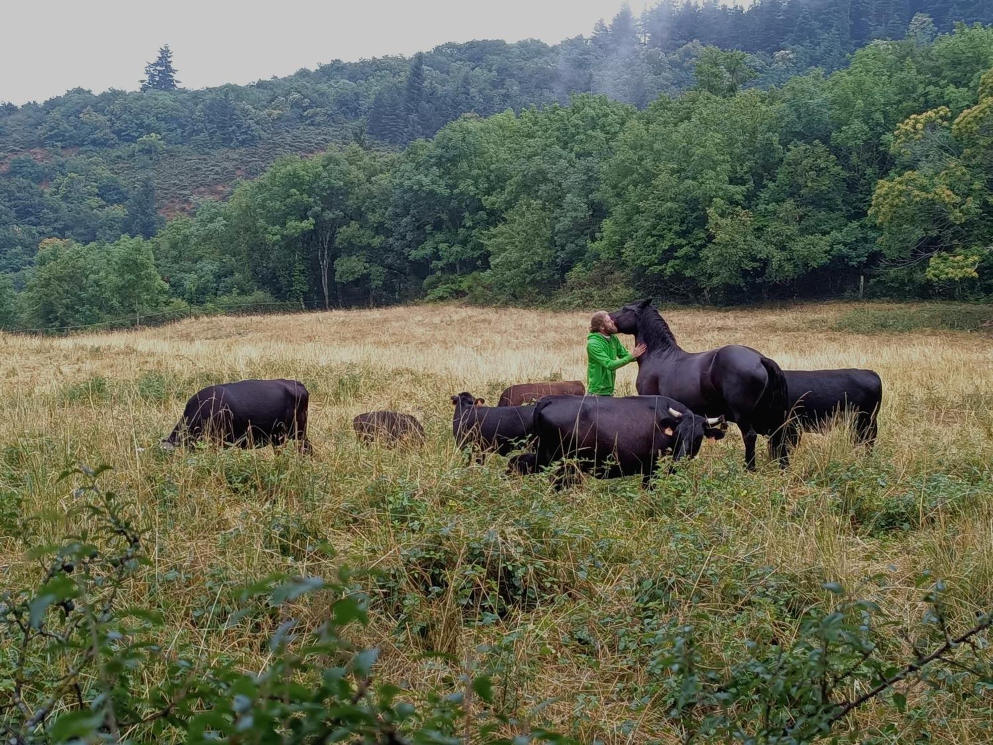 Ferme Les Therondels Saint-Pons-de-Thomieres Eksteriør billede