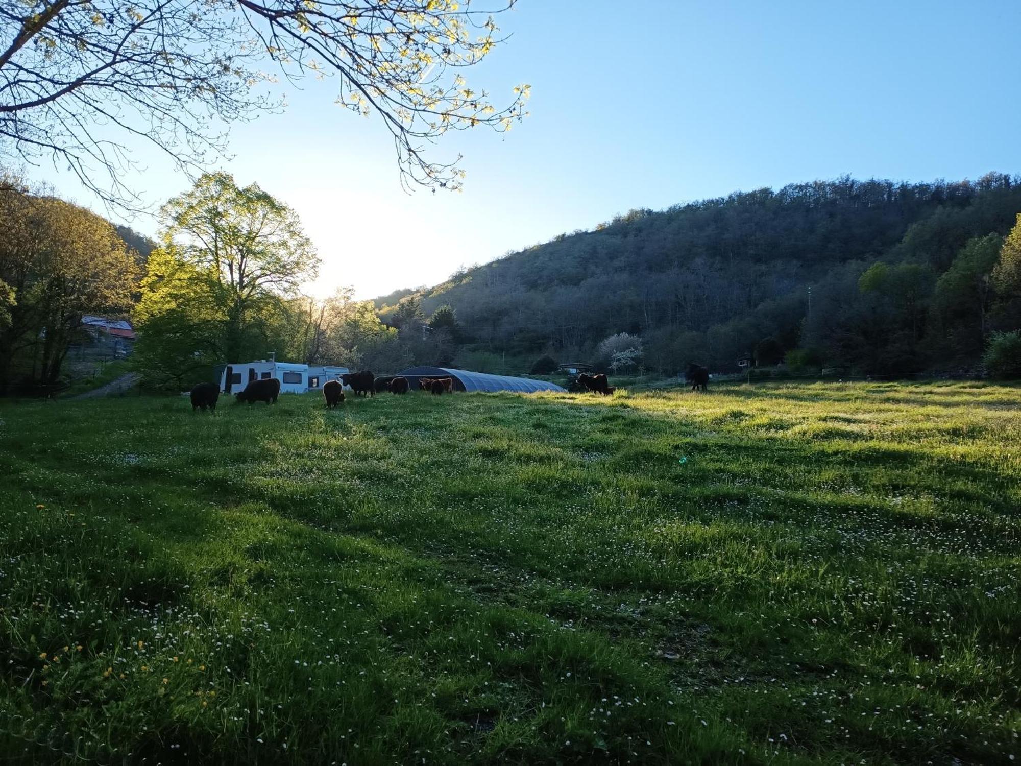 Ferme Les Therondels Saint-Pons-de-Thomieres Eksteriør billede
